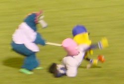 hossi03.jpg (8249 バイト)