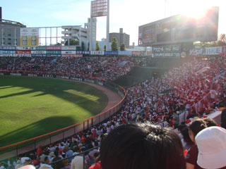 0812_13.jpg (23371 oCg)