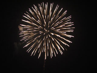 hanabi2007_19.jpg (16731 oCg)