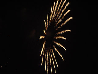 hanabi2007_25.jpg (10417 oCg)