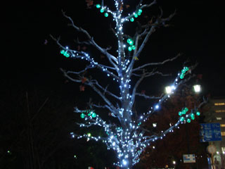dre2007_54.jpg (18683 oCg)